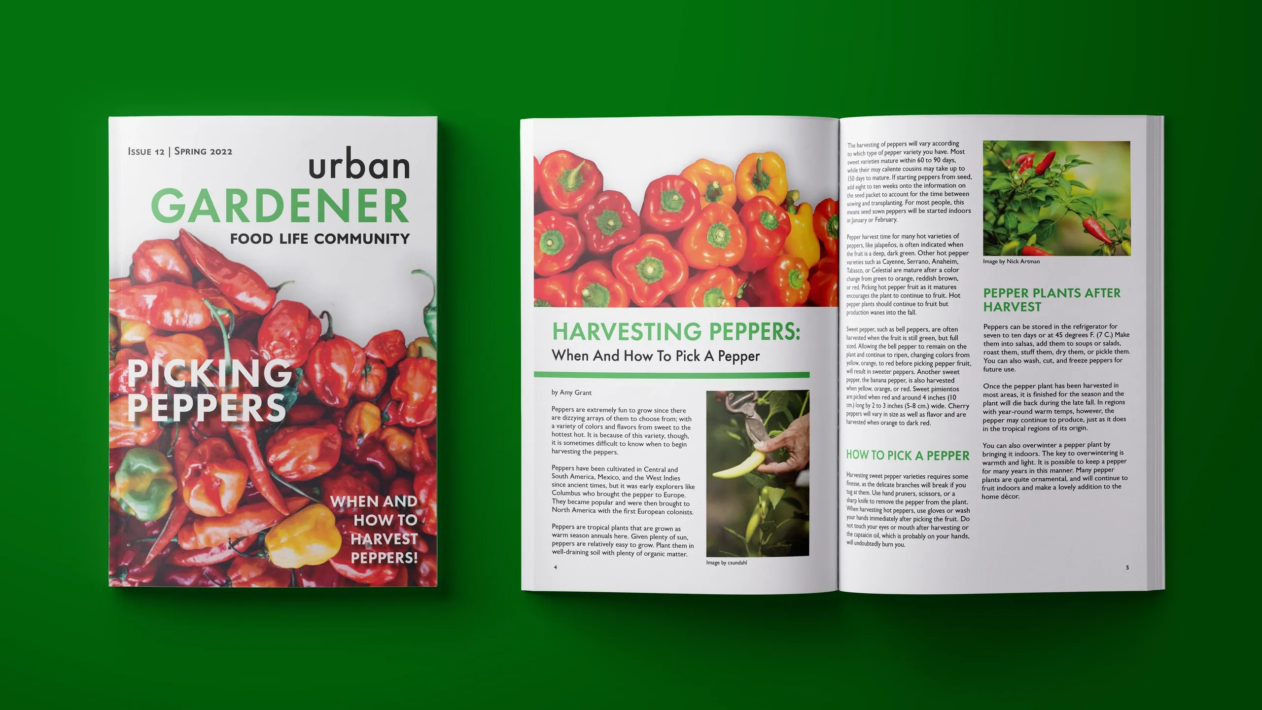 Urban Gardener Magazine Cover and Spread